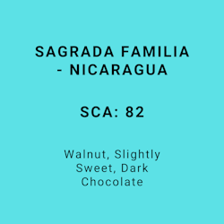 SAGRADA FAMILIA - NICARAGUA
