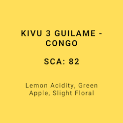 KIVU 3 GUILAME - CONGO