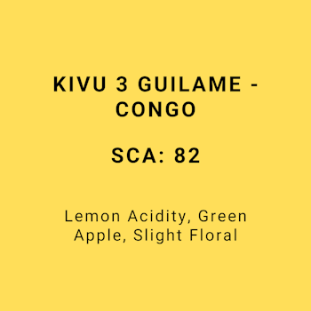 KIVU 3 GUILAME - CONGO