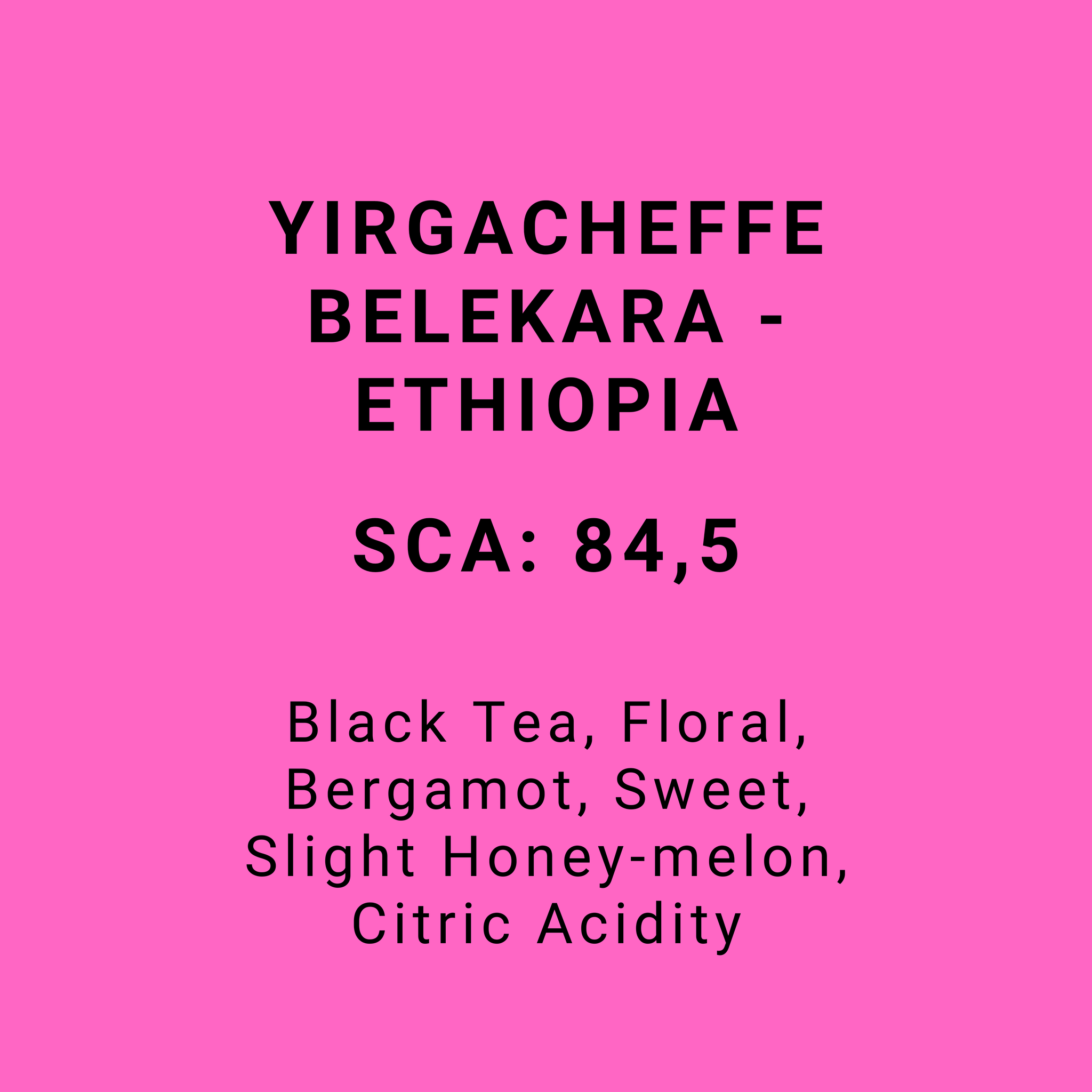 YIRGACHEFFE BELEKARA - ETHIOPIA
