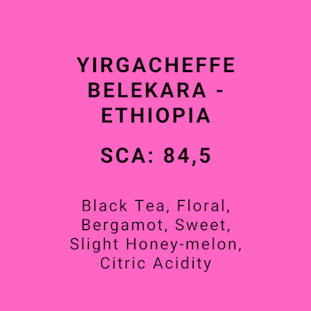 YIRGACHEFFE BELEKARA - ETHIOPIA