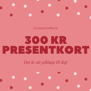 presentkort 300