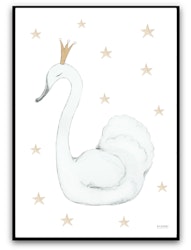 Print - Swan