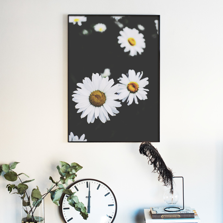 DAISIES POSTER