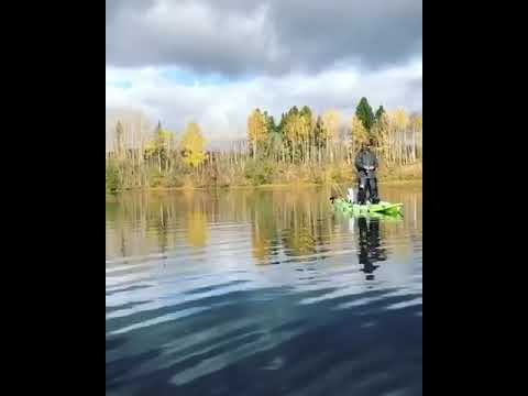 Seahawk Fisher - Paket