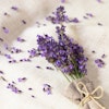 Nagelolja Lavendel