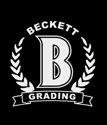 Gradering Submission BGS
