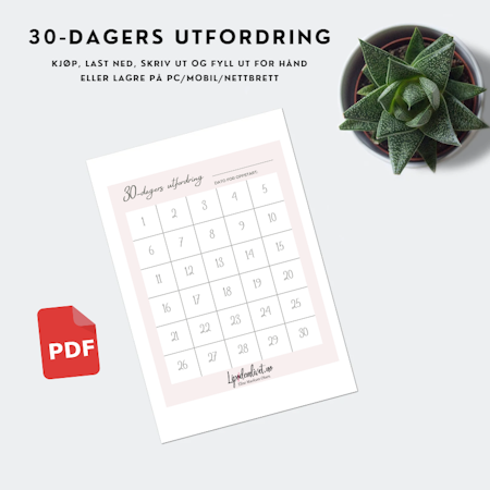 30-dagers utfordring - PDF