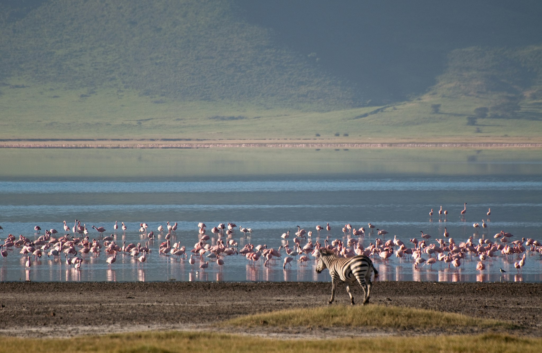 Ngorongoro, Tanzania