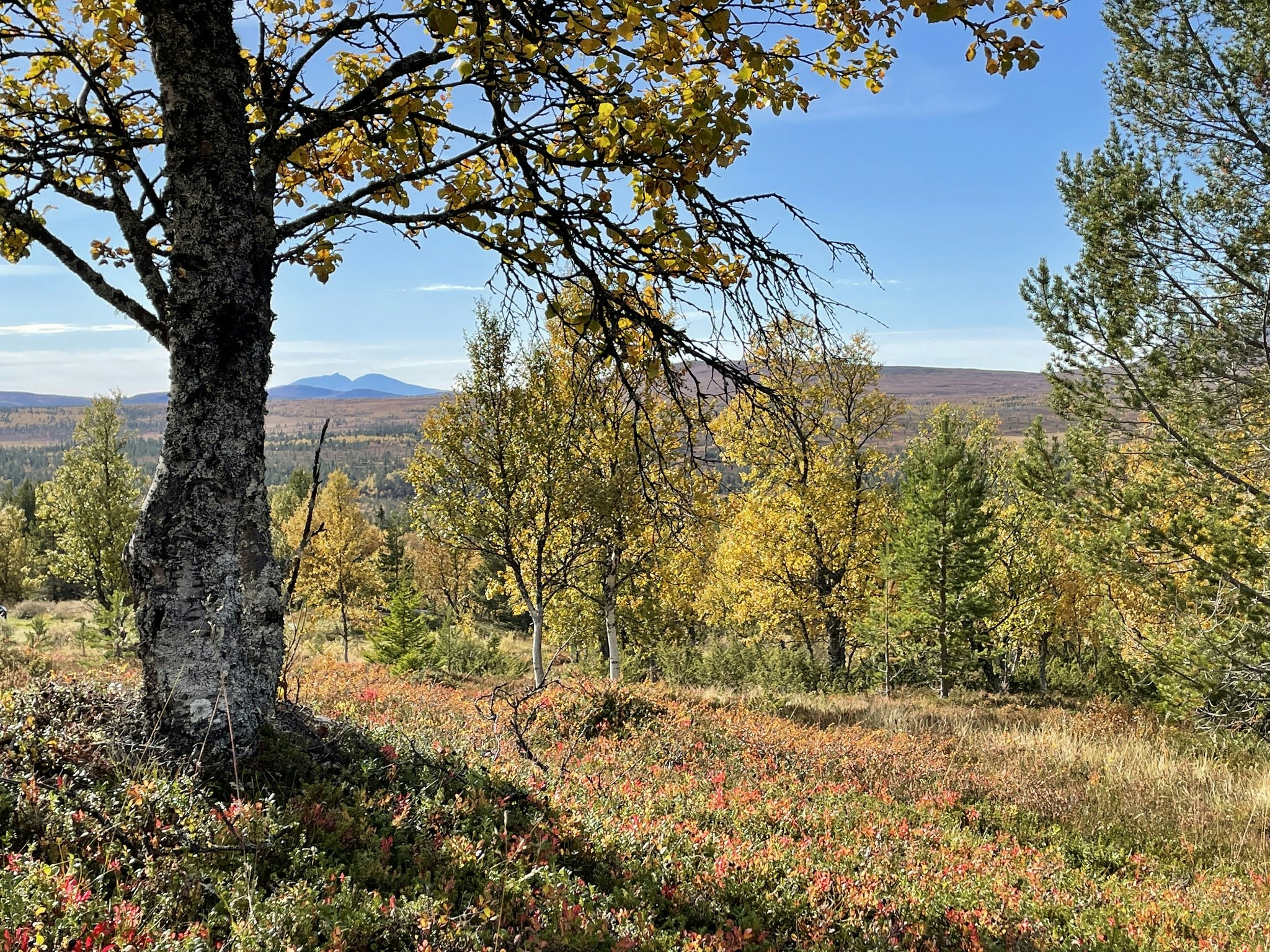 Grövelsjön, Dalarna