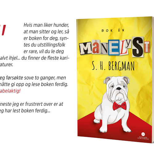 MÅNELYST - e-bok