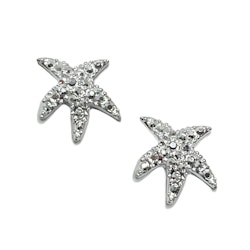 3d Sea Star Silver