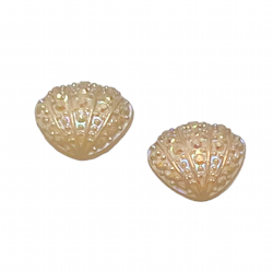 3d Sea Shell Orange