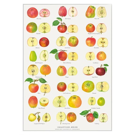 Plakat Epler A4