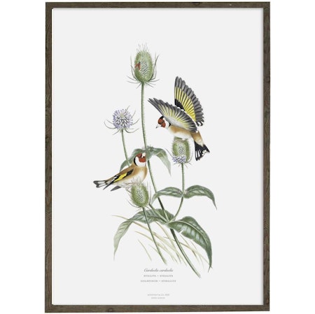 Kunstprint Stillits A4