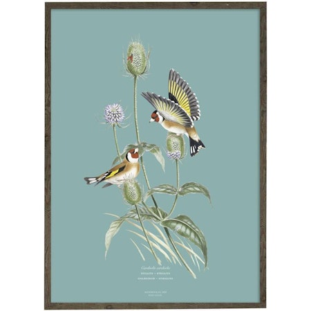 Kunstprint Stillits A4