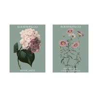 Hortensia 10 små kort med konvolutter