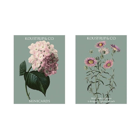Hortensia 10 små kort med konvolutter