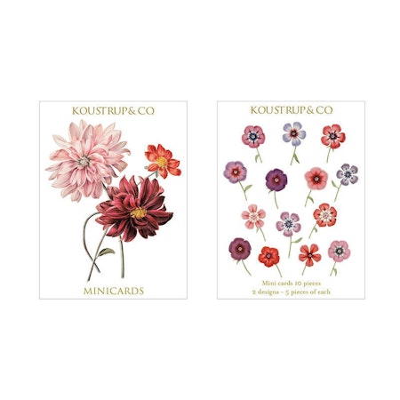 Dahlia 10 små kort med konvolutter