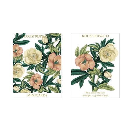 Helleborus 10 små kort med konvolutter