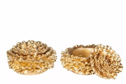 Ask Pion guld poly