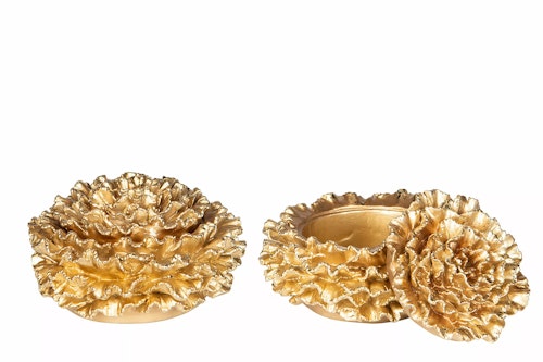 Ask Pion guld poly
