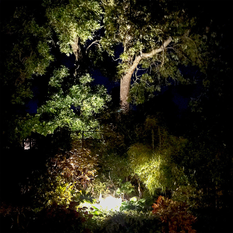 LightsOn Sirius Trädgårdslampa LED