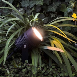 LightsOn Nova Trädgårdslampa LED Svart