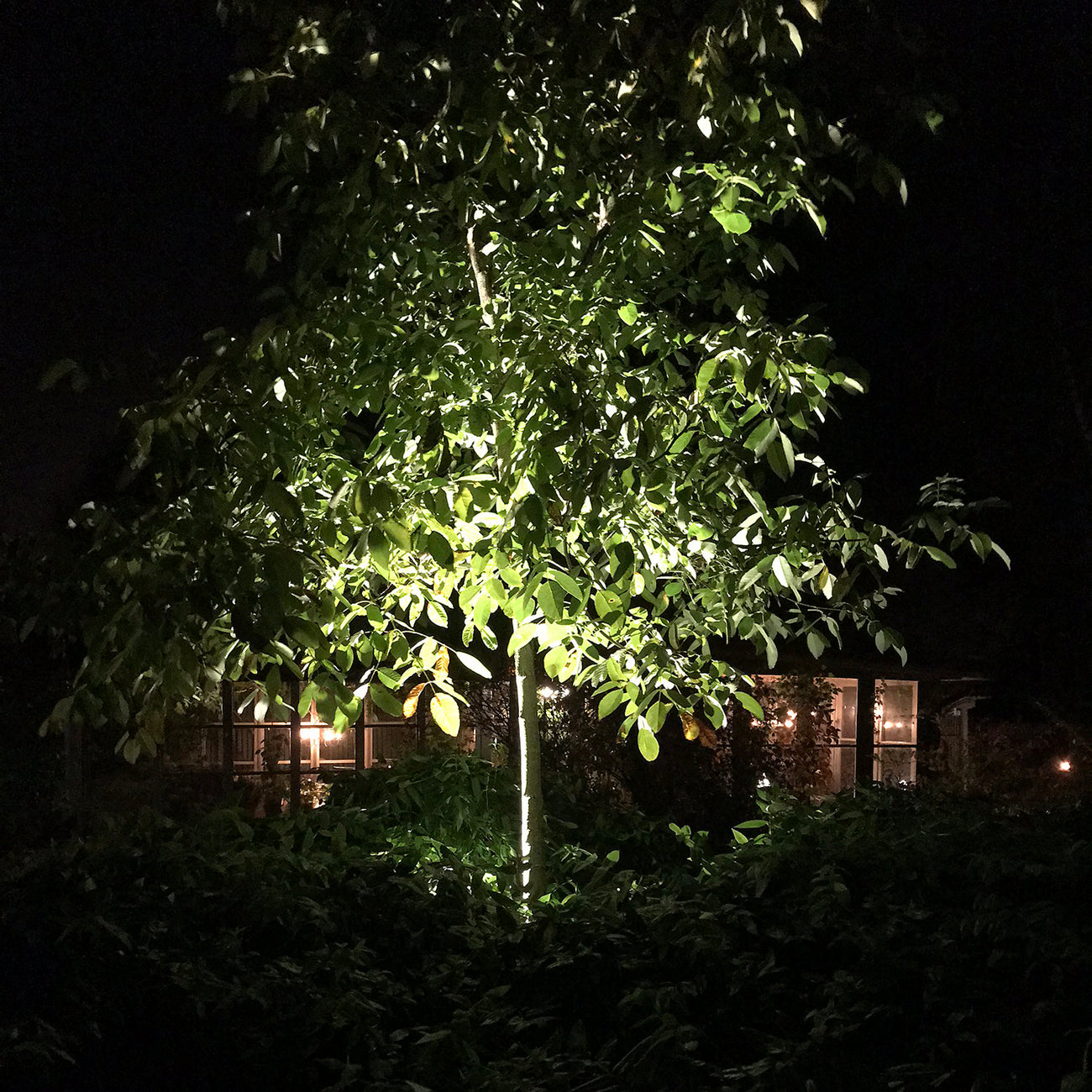 LightsOn Medusa Trädgårdslampa LED Svart