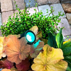 LightsOn Arcus RGB Trädgårdslampa LED Svart