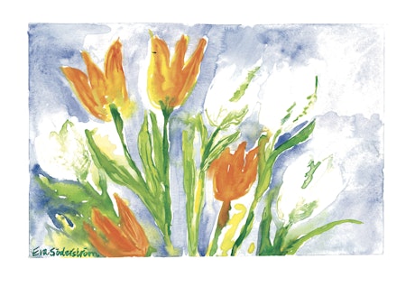 Blommor 28