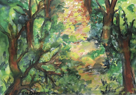 Natur 9