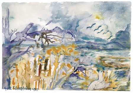 Natur 8