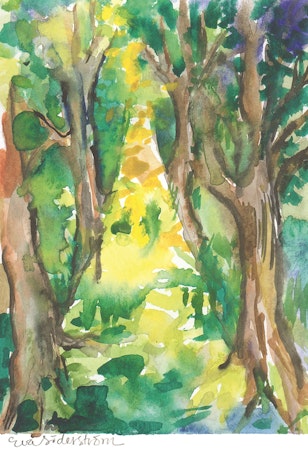 Natur 4