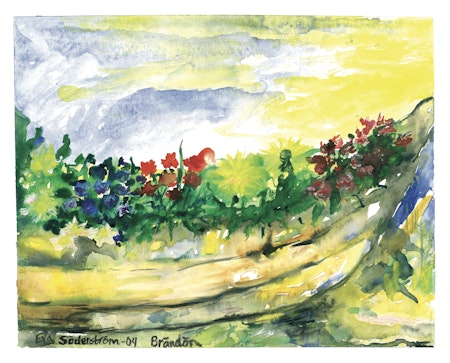 Natur 3