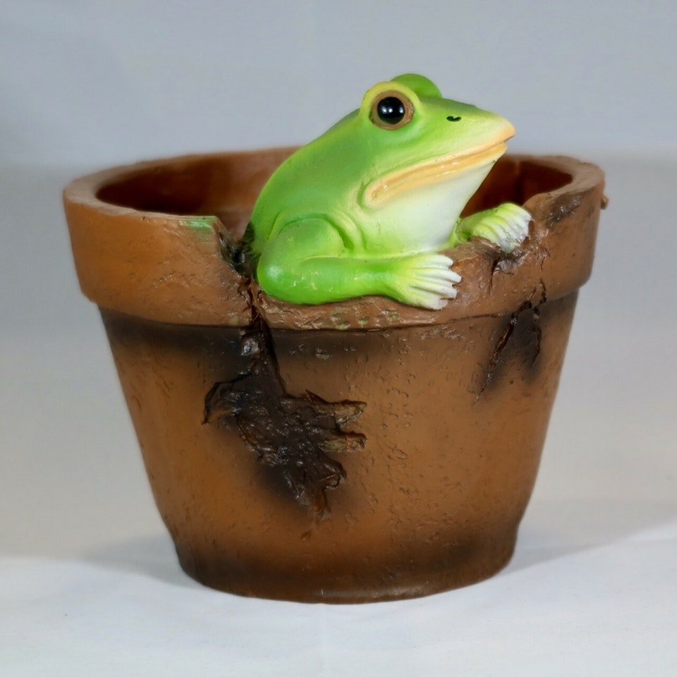 Blomkruka med groda