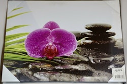 Tavla med Orkidé