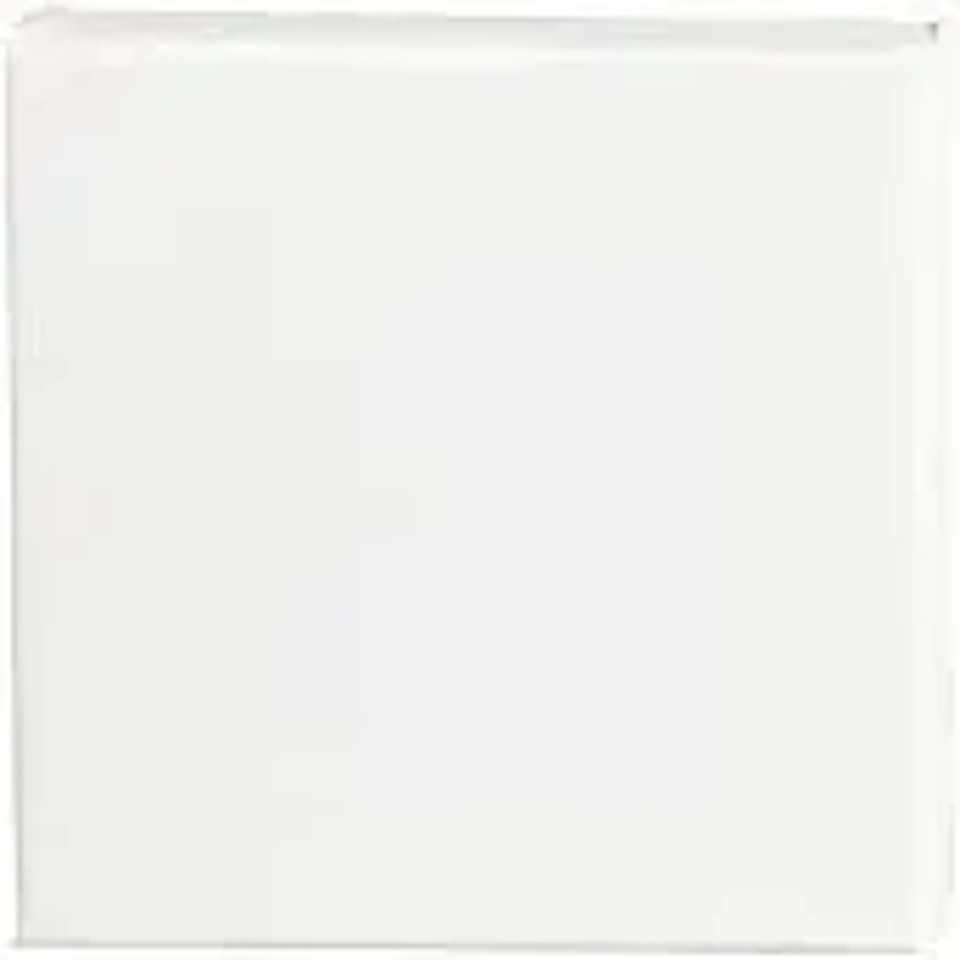 Canvas 20x20