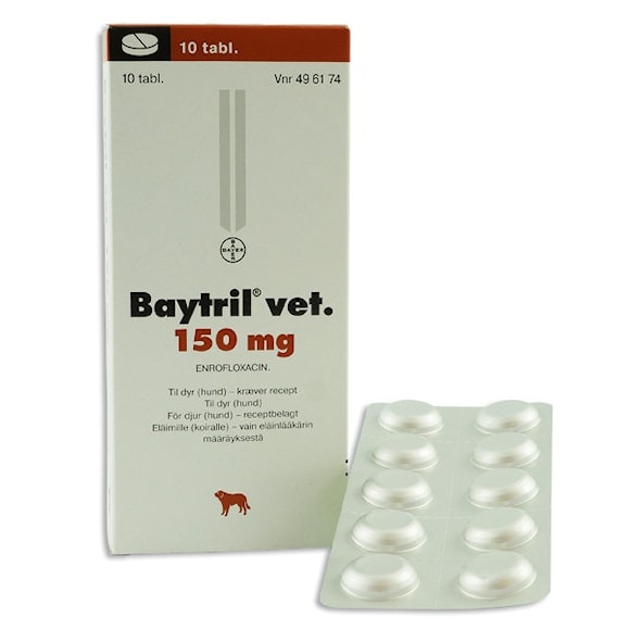 Baytril vet. 150 mg 10 styck Tablett