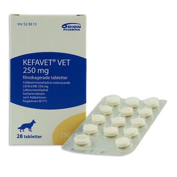 Kefavet vet. 250 mg 20 styck Filmdragerad tablett