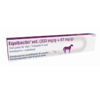 Equibactin vet. 333 mg/g + 67 mg/g 45 gram