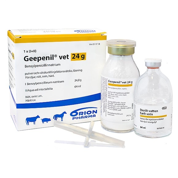 Geepenil vet., pulv och vätska till inj-vätska, lösning 24 g, 24 gram