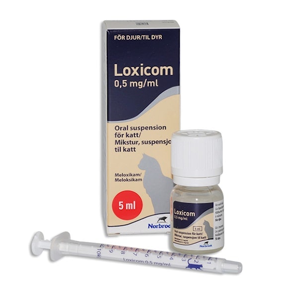 Loxicom för katt, oral suspension 0,5 mg/ml, 5 milliliter