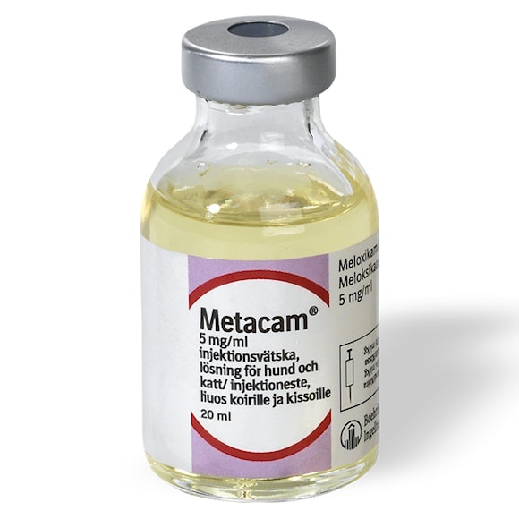 Metacam för hund och katt, inj-vätska, lösning 5 mg/ml Boehringer Ingelheim  A, 20 milliliter - djurmedicin.se - Apoteket för veterinärer.