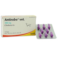 Antirobe vet. 300 mg 16 styck Kapsel, hård