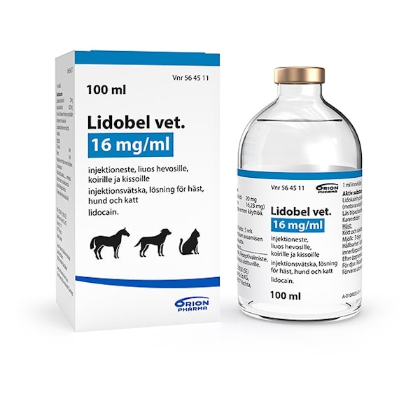 Lidobel(lidokain) vet. 16 mg/ml 100 milliliter Injektionsvätska, lösning