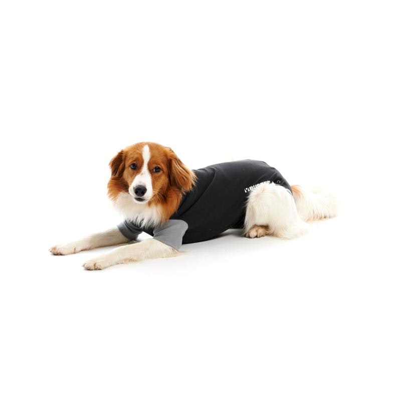 BUSTER Body Suit Classic, till hund, svart/grå, 39 cm, XS, 1 st