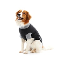 BUSTER Body Suit Classic, till hund, svart/grå, 42 cm, S, 1 st