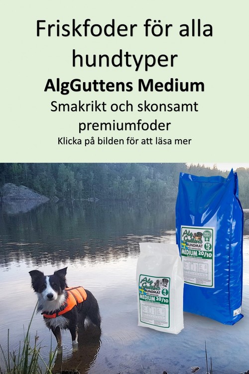 AlgGutten Medium Svensktillverkat hundfoder med havsalger