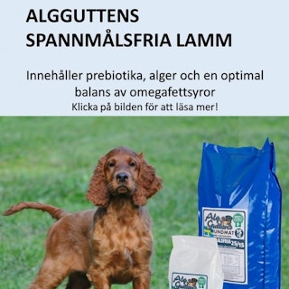 SPANNMÅLSFRIA LAMM, Skonsamt superpremium.